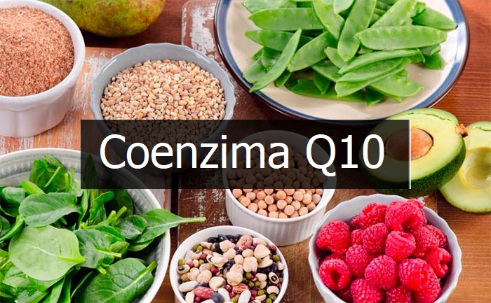Quais os alimentos que contêm Coenzima Q10?